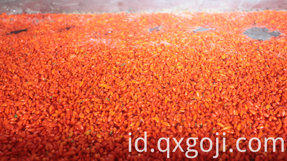 Red Organic Goji Berry